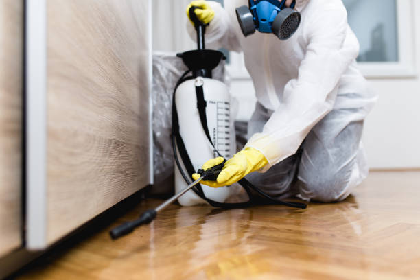 Best Flea Control Services  in Depew, NY