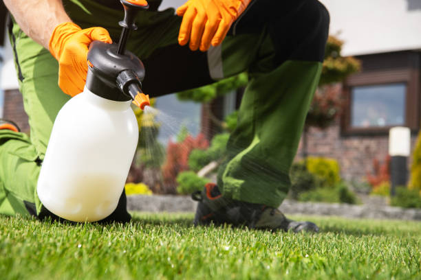 Best Wasp Removal Services  in Depew, NY