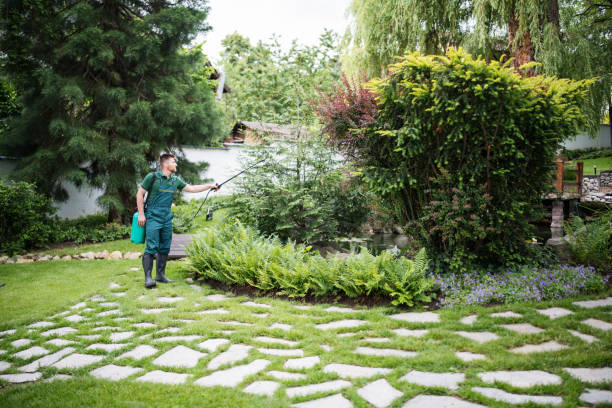 Depew, NY Pest Control Company