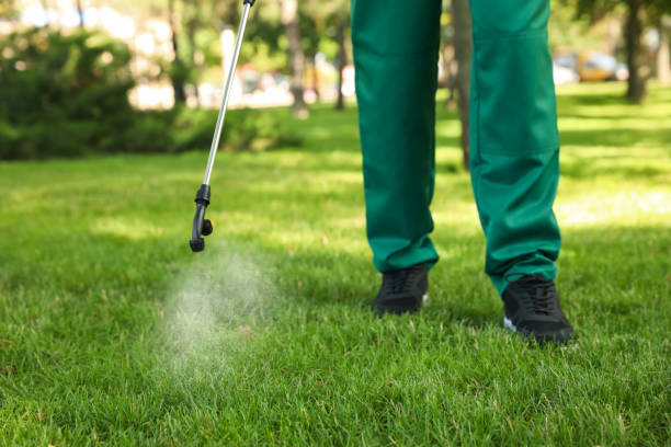 Wildlife Control Services in Depew, NY