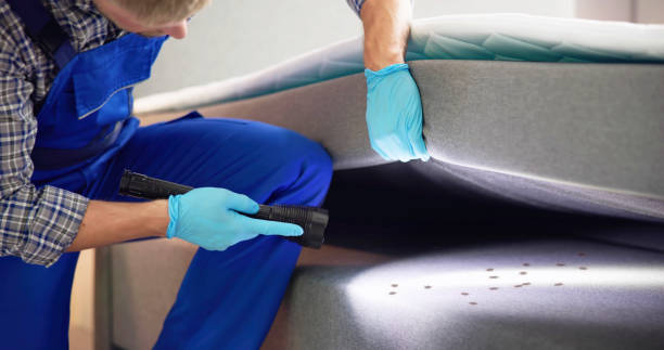 Best Pest Inspection Near Me  in Depew, NY