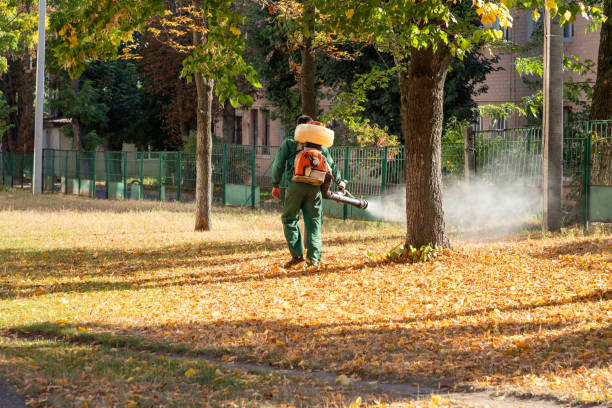 Best Residential Pest Control  in Depew, NY