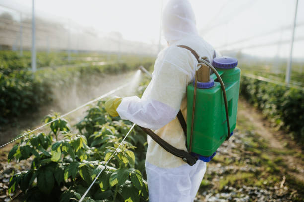 Best Emergency Pest Control  in Depew, NY
